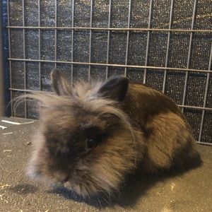 Meet your Posher, Madeline